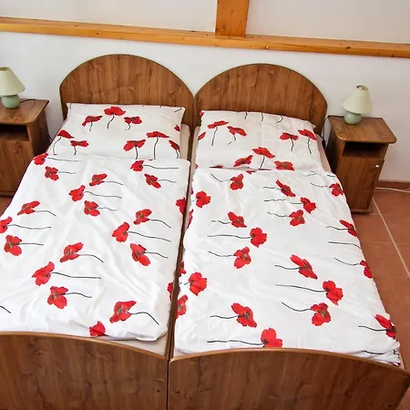 Guest house Penzion Alberto *