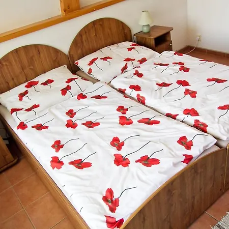 Penzion Alberto Guest house Prievidza