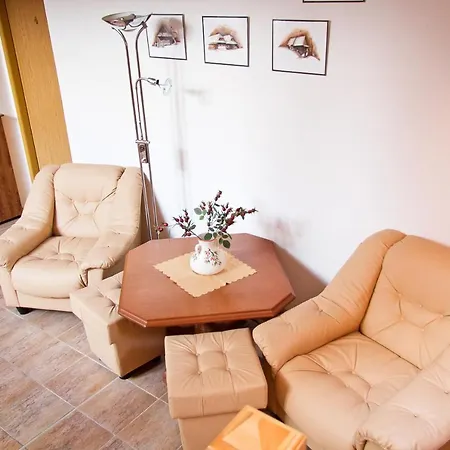 Guest house Penzion Alberto *